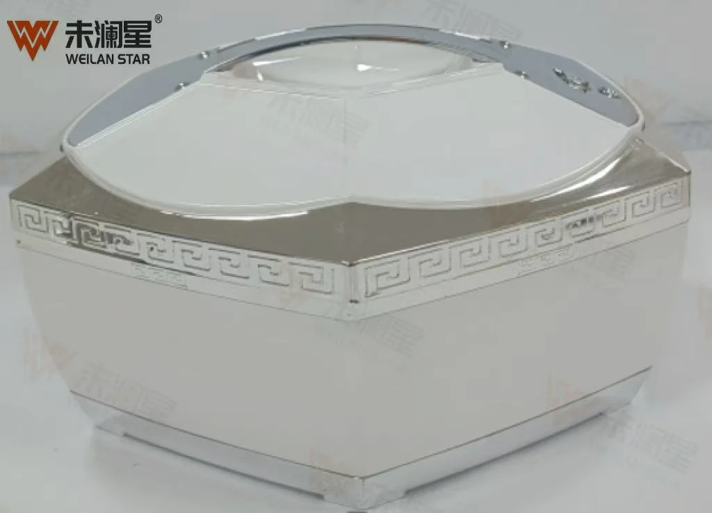 FL6000喷漆 塑料+不锈钢保温桶