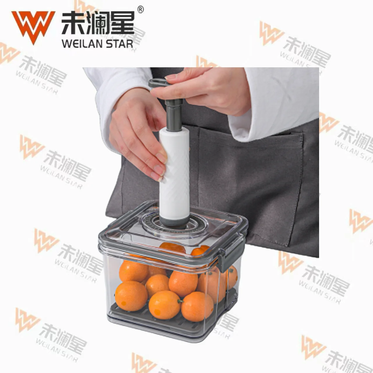 2203 保鲜盒