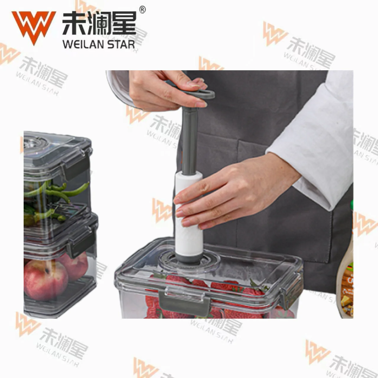2206 保鲜盒