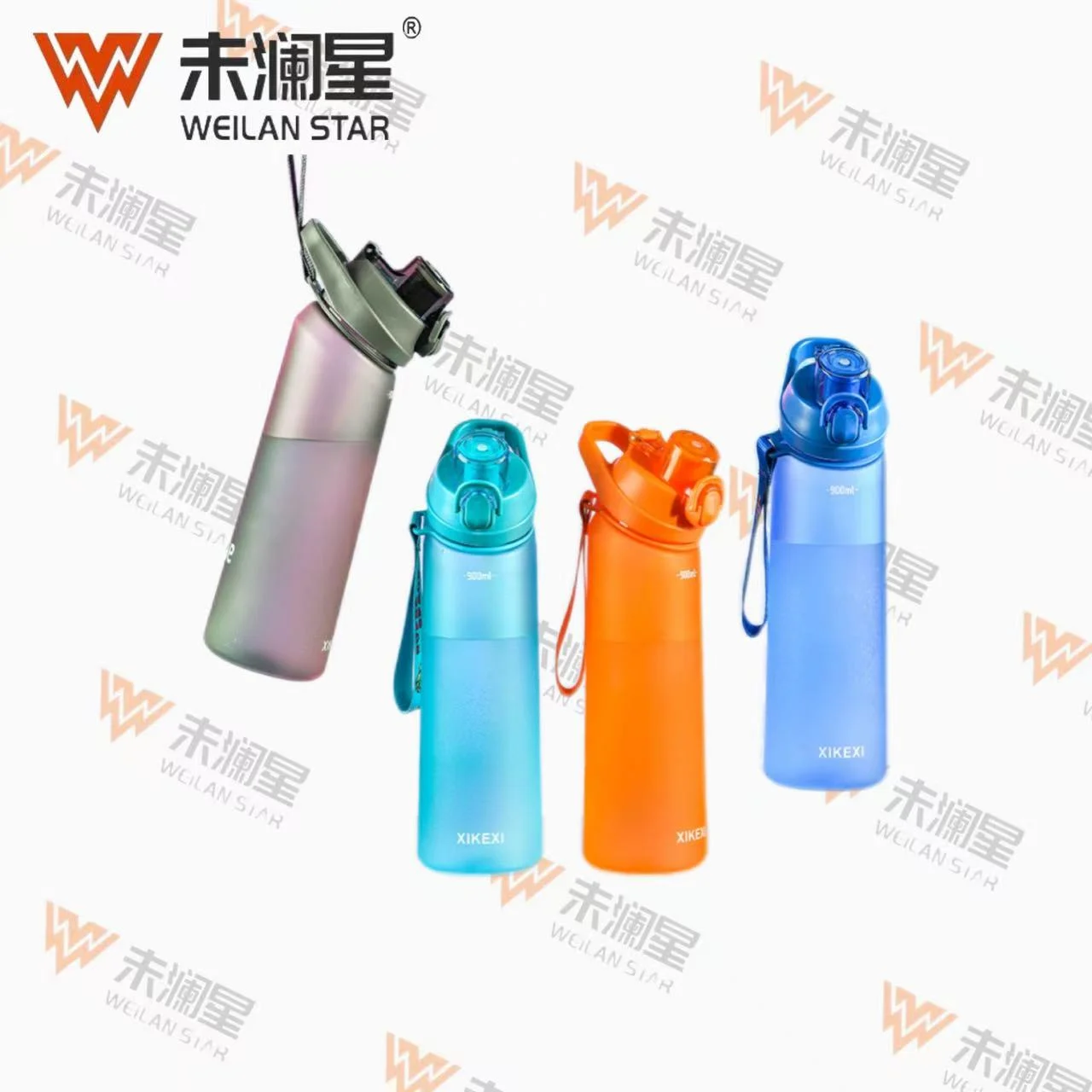 A2425-900ML 运动水壶