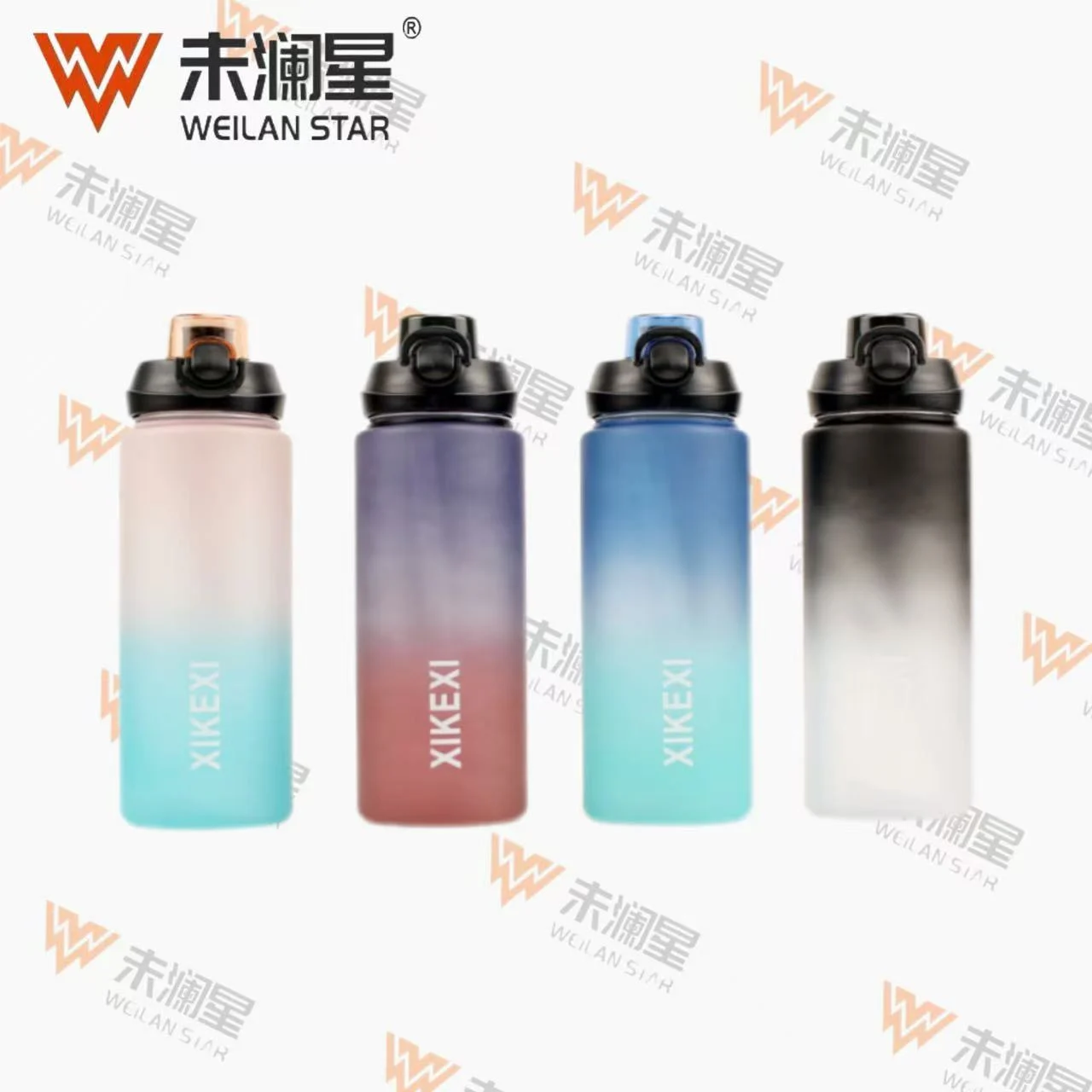 A2315-1000ML 运动水壶