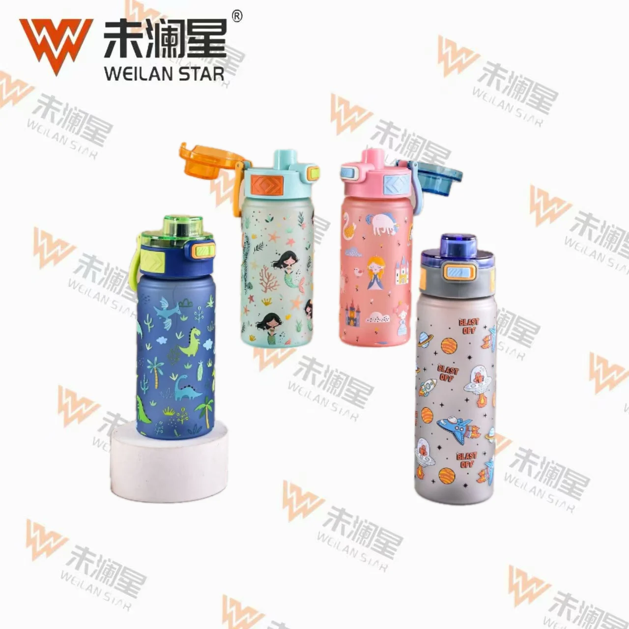 CL-2508-1 运动水壶